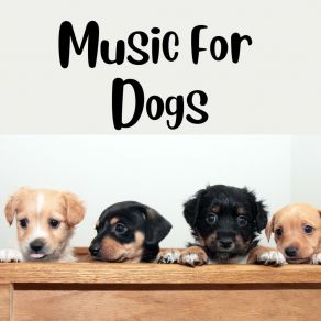 Download track Dog Instrumental Music Calm Pets Music Academy