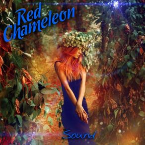 Download track Somebody I Could Be Red Chameleon