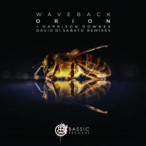 Download track Orion (David Di Sabato Remix) WAVEBACKDavid Di Sabato