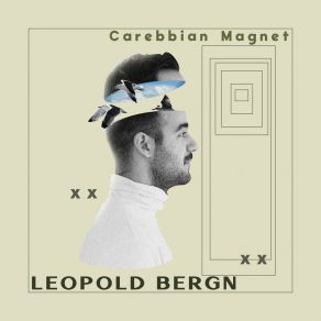 Download track Dark Cash Leopold Bergn