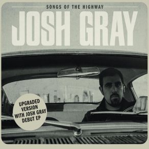 Download track Punk Rock Girl (Dead Milkmen Cover) Josh Gray