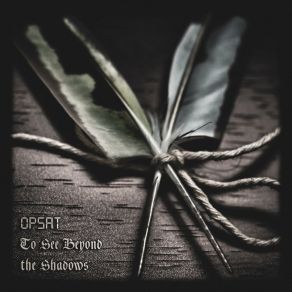 Download track Silent Symphony To See Beyond The Shadows