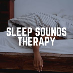 Download track Euphoric Sleep, Pt. 13 Deep Sleep Music For Insomnia