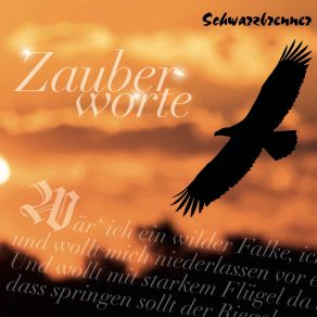 Download track Wohl Heute Noch Und Morgen Schwarzbrenner