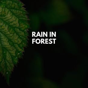 Download track Rain In The Woods Rain On Tin Roof