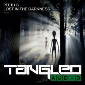 Download track Lost In The Darkness (Original Mix) Peetu S