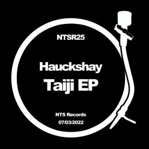 Download track Yin (Original Mix) Hauckshay