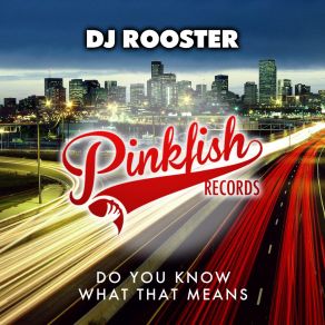 Download track Do You Know What That Means (Original Mix) DJ Rooster