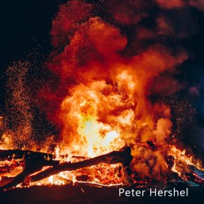 Download track Body Groove Peter Hershel