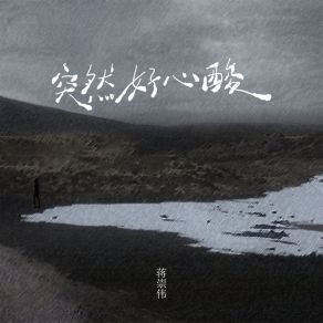 Download track 突然好心酸 (伴奏) 蒋崇伟