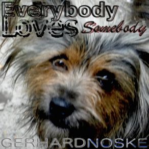 Download track Love Puts A Spring Back In Your Step Gerhard Noske