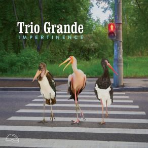 Download track Jamais Deux Sans Trois Trio Grande, Michel Massot, Dehors Laurent, Michel Debrulle