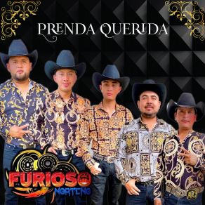 Download track Los Viejitos (Huapango) (Cover) Furioso Norteño