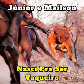 Download track Nasci Pra Ser Vaqueiro (Cover) Júnior E Mailson