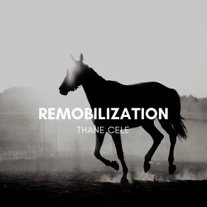 Download track Remobilization Thane Cele