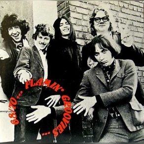 Download track Headin For The Texas Border The Flamin' Groovies