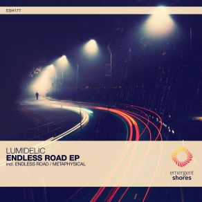 Download track Endless Road (Original Mix) Lumidelic