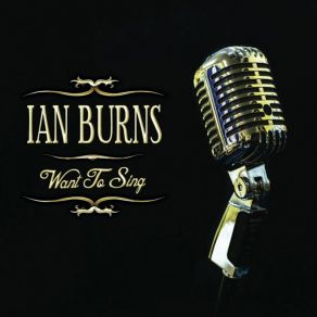 Download track My Kind Of Beautiful Ian Burns