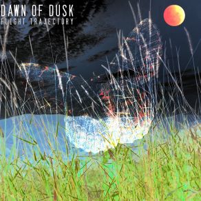 Download track Northern Lights Dawn Of Dusk