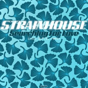 Download track Searching For Love (D. P. V. Remix) StrainhouseD. P. V.