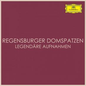 Download track Magnificat: 12. Sicut Erat In Principio Regensburger DomspatzenDie Regensburger Domspatzen, Hanns-Martin Schneidt, Hamburger Bläserkreis Für Alte Musik