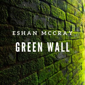 Download track Way To Lose Eshan Mccray