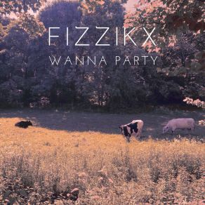 Download track Wanna Party (Original Mix) Fizzikx