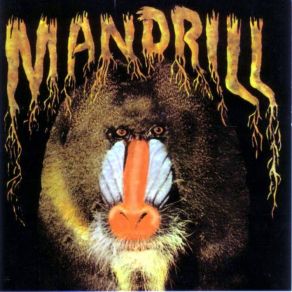 Download track Rollin' On Mandrill, Patrick Colby