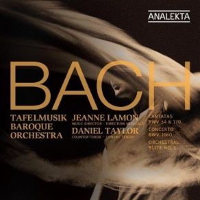 Download track 3. Cantata Vergnugte Ruh Beliebte Seelenlust BWV170 - 3. Aria: Wie Jammern Mi... Johann Sebastian Bach