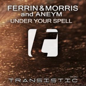 Download track Under Your Spell (Original Mix) Andy Moor, Jan Johnston, Denis Kenzo, Dirkie Coetzee