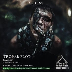 Download track No Soul Is Safe Tropar Flot