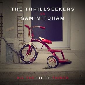 Download track All The Little Things (Basil O'Glue Remix) The Thrillseekers, Sam Mitcham