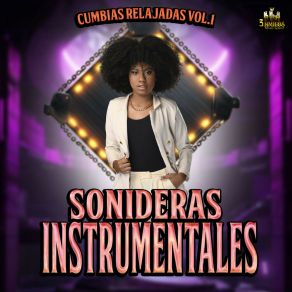 Download track La Conejita Sonideras Instrumentales