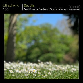 Download track Babbling Brook Ultraphonic