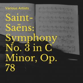 Download track Symphony No. 3 In C Minor, Op. 78: II. Maestoso, Allegro Molto, Organ Camille Saint - Saëns