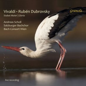 Download track Stabat Mater, RV 621 III. O Quam Tristis (Live) Salzburg Bach Choir, Bach Consort Wien, Ruben Dubrovsky