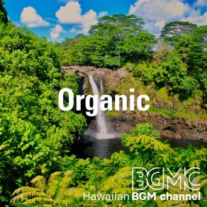 Download track White Ginger Hawaiian BGM ChannelBGM Channel