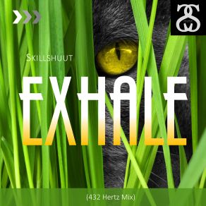 Download track Exhale (432 Hertz Mix) Skillshuut