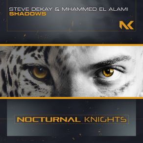 Download track Shadows (Extended Mix) Mhammed El Alami