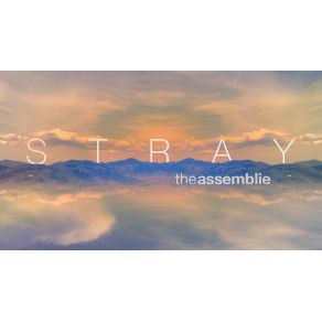 Download track Stray The Assemblie