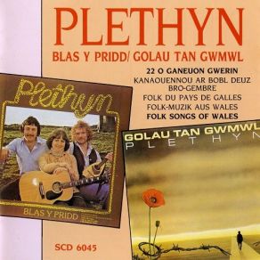 Download track Lluen Plethyn