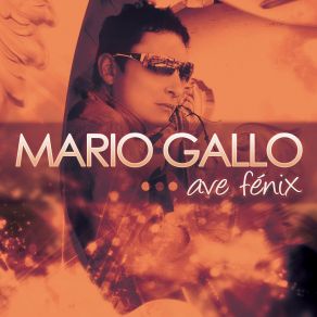 Download track Noches De Luz Mario Gallo