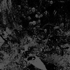 Download track Reverse The Day Unearthly Trance