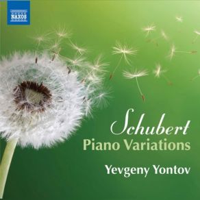 Download track Variations On A Waltz By Diabelli In C Minor: Variation 38, D. 718 Yevgeny Yontov