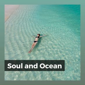 Download track Sea Meditations, Pt. 7 Calming Ocean