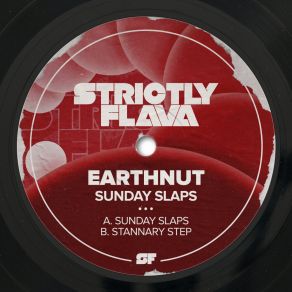 Download track Sunday Slaps (Original Mix) Earthnut