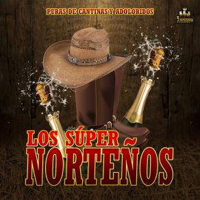 Download track La Ley De La Vida Los Super Nortenos