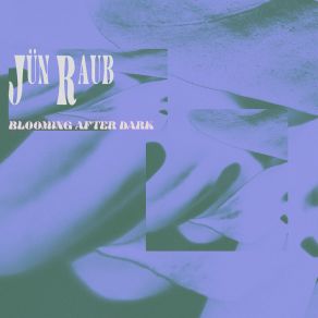 Download track Boy, Oh Boy Jun Raub