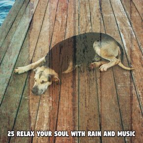 Download track Brain Drench Ambient Rain