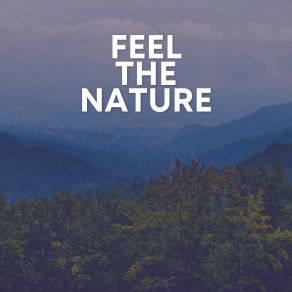 Download track Gentle Rain Nature's Relaxing Sounds Sounds Of Nature Noise